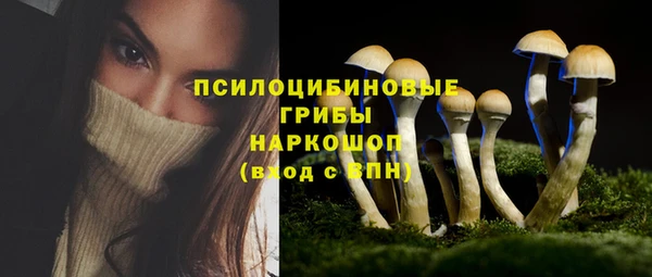 Альфа ПВП Балабаново