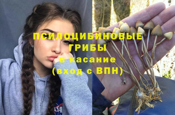Альфа ПВП Балабаново