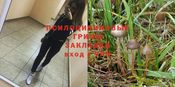 Альфа ПВП Балабаново